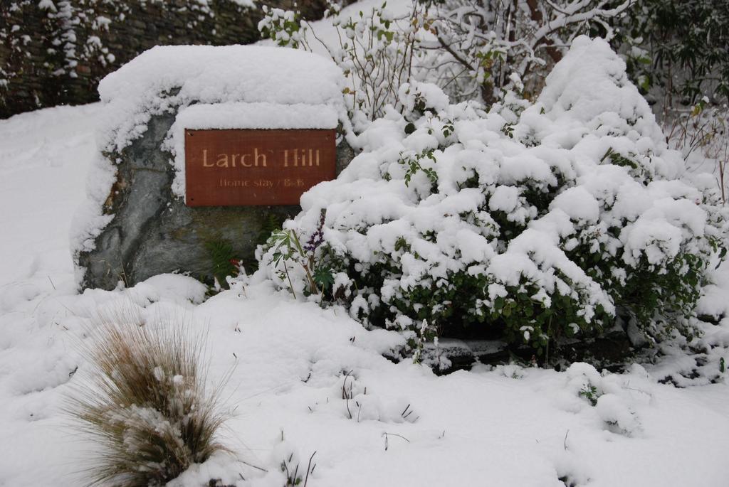קווינסטאון Larch Hill Bed & Breakfast מראה חיצוני תמונה