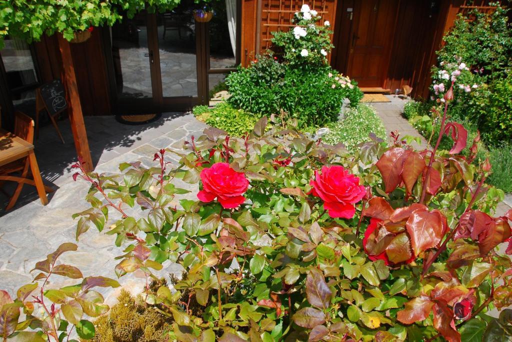 קווינסטאון Larch Hill Bed & Breakfast מראה חיצוני תמונה